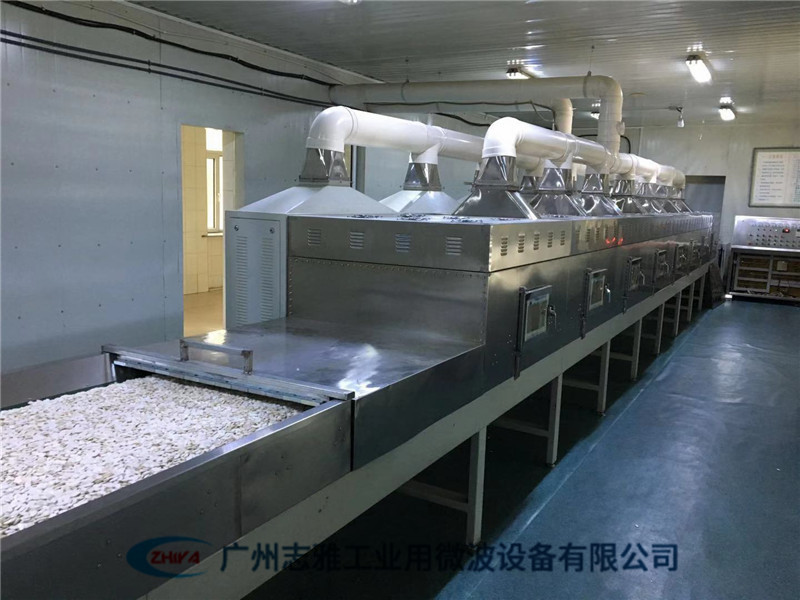 食品微波膨化机